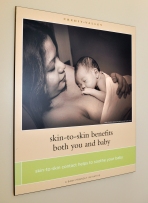 skin-to-skin poster with Sandra's photo